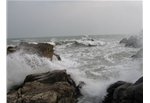 靖海客鳥(niǎo)尾